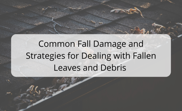 Common Fall Damage and Strategies For Dealing With Fallen Leaves And Debris