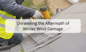Unraveling the Aftermath of Winter Wind Damage
