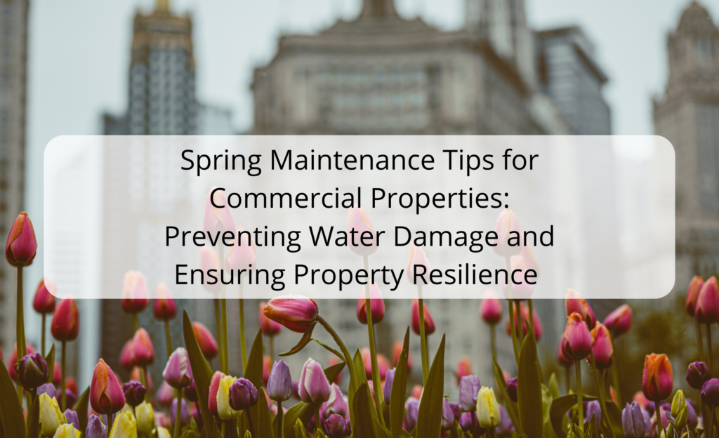 a field of flowers with the words spring maintenance tips for commercial properties preventing water damage - water damage